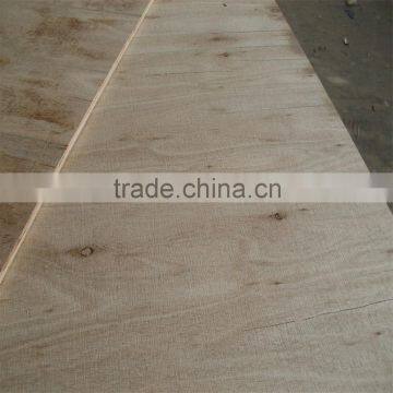 Eucalyptus Plywood- flooring base