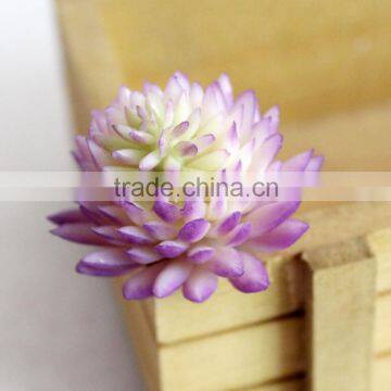 Wholesale Artificial Succulent Plants Mini Succulent Plants Succulent Plants Tropical Plants photo-4