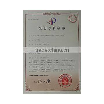 Patent for Invention