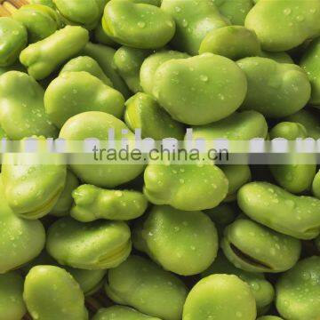 chinese lentil bean