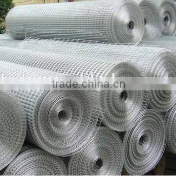 New Product Galvanized Welded Wire Mesh/ Welded Wire Mesh Fence for Sale photo-3