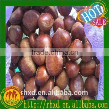 2016 price chestnuts/ chestnuts wholesale/chinese chestnuts for sale