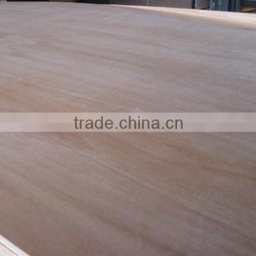 Red Meranti Plywood