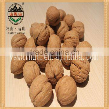 fresh organic walnuts for sale