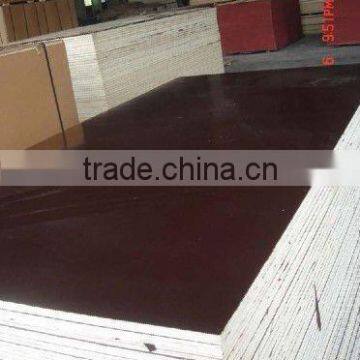 construction 18MM phenolic film faced plywood