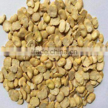 2014 Crop Dried Broad Beans Split, Peeled Without Shell photo-3