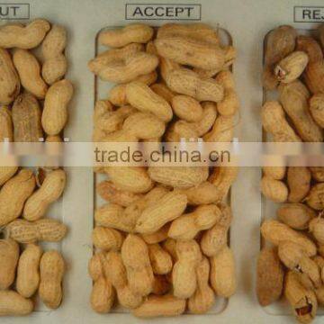 5000+pixel With Patented Ejector Groundnut Color Sorter With Hign Speed DSP Technology ,groundnut Grading Machine photo-6