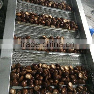 Price for Frozen Shiitake Mushroom Whole photo-3
