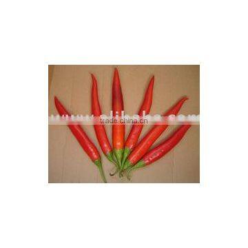 Egypt Red Hot Pepper