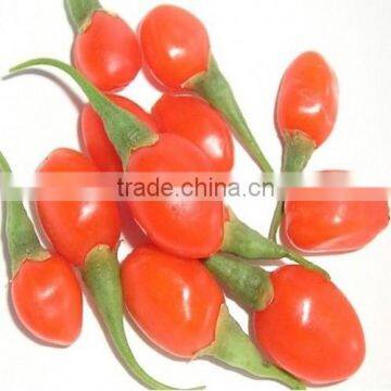 Wolfberry 2015 New China Biggest Trading Ningxia Organic Goji Berries 100% Natural 2x 5kg Certificate Goji Berry photo-4