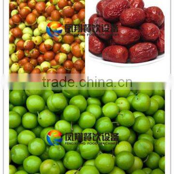 Spray Type Fruit/Melons/Vegetable Washing Machine With Roller Brushes photo-6