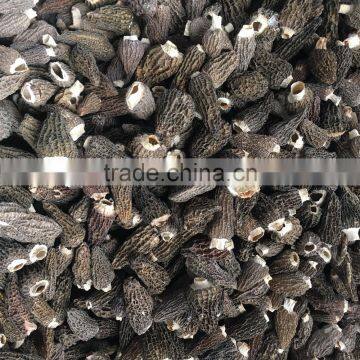 High Quality Dried Morels photo-3
