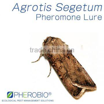 Pheromone Lure For Agrotis Segetum (The Turnip Moth), Sex Pheromone Attractant
