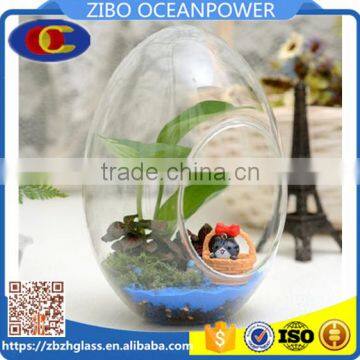 Clear Egg Shape Glass Vase Glass Micro Landscape Bottle