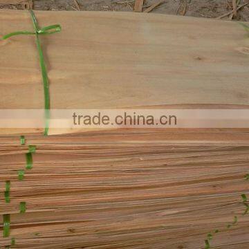 Selling Eucalyptus Core Veneer 1270 X 640X 2.2MM [ KEGO] - www.kego.com.vn