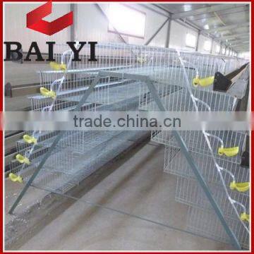5 Layer Quail Cage With Automatic Drinking System