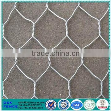 Plant Tree Guard Hexagonal Wire Mesh