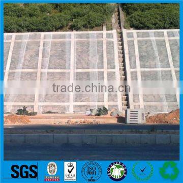 Agricultural Non-woven Fabric With UV Treated photo-6