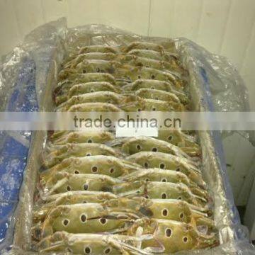 Frozen Crab Whole photo-2