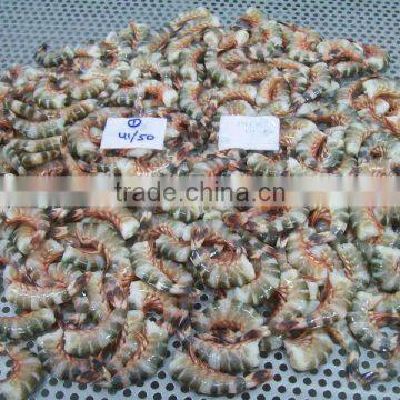 Frozen Cat Tiger Shrimps photo-2