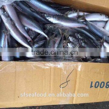 cat food thailand of pacific mackerel