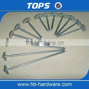 Roofing Umbrella Nail photo-2