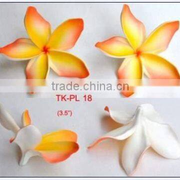 Hawaiian eva foam flower plumeria frangipani ( TK-PL-pointed )