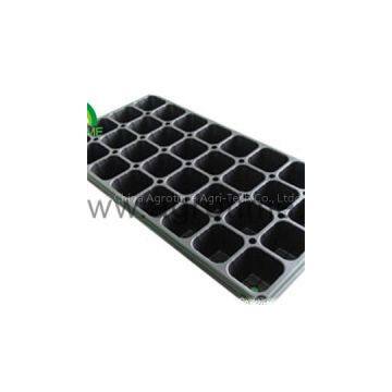 Seed Tray