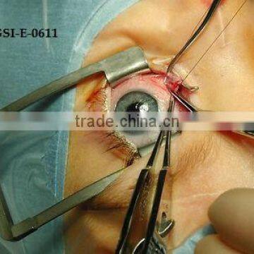 High Quality Eye Instrument (Stainless Steel)