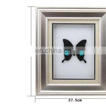 Nature Real Butterfly Frame Home Decoration Craft photo-4