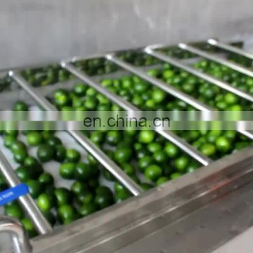 Commercial apple Fruit Grader apple sorting machine