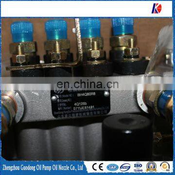 SDKangda 4Q125b High Pressure Fuel Pump BH4Q80R8 for Yangdong YSD490Q/3200