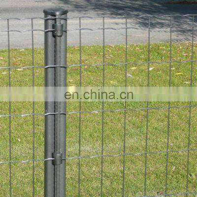 Cheap Euro Heavy Gauge PVC Coated Cages Holland Welded Wire Mesh Fence