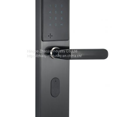 Biometric fingerprint password door lock made in China