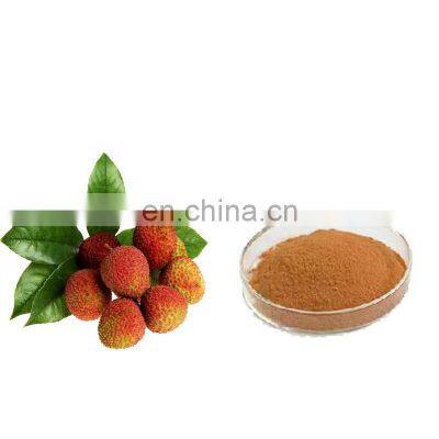 Fruit and Vegetable Powder lychee juice powder lychee powder