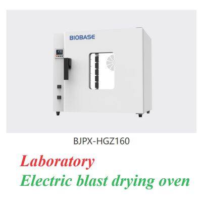 Laboratory Electric blast drying oven