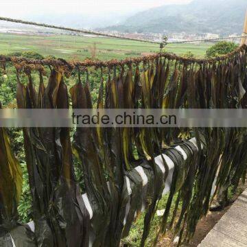 Factory Supply Wholesale Price of Hiqh Quality Dried Kelp/Laminaria/Kombu Seaweed