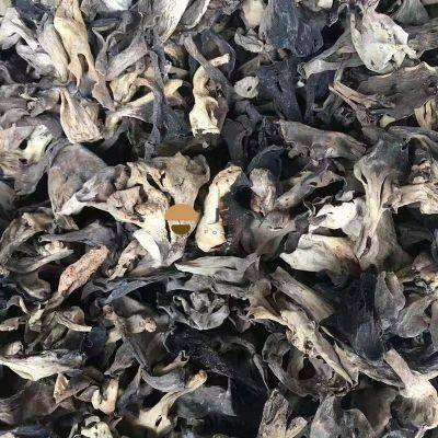 Dehydrated Wild Dried Black Trumpet Mushroom Craterellus Cornucopioides photo-1