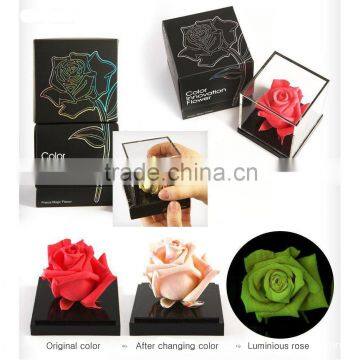 Magic Rose with Color Change & Luminous Function