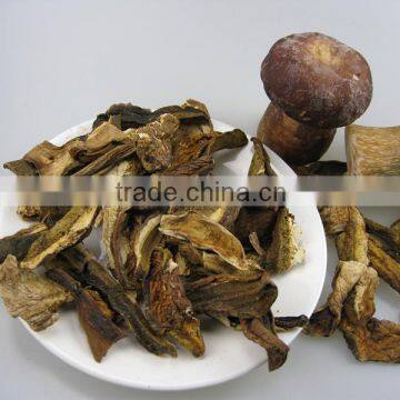 wholesale white boletus mushroom prices