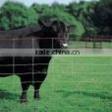 field fence/grassland fence