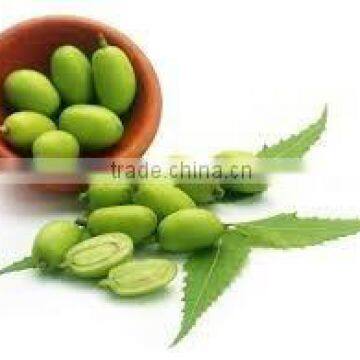 USDA Certified Neem Oil ; Organic Certified Neem Oil