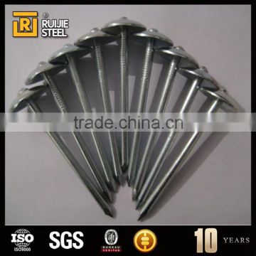 factory supply polished common nails,Galvanized umbrella head roofing Nails with washer f