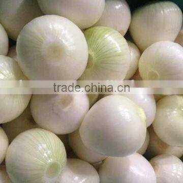 2014 Crop Fresh Yellow Onion High Quality and Good Price photo-2