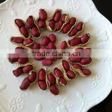 Huaxiaobao Peanut Shenghua 6