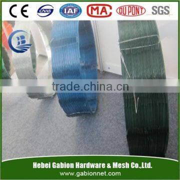 CBT -60 Razor Barbed Wire (ISO, SGS, CE certificated factory)