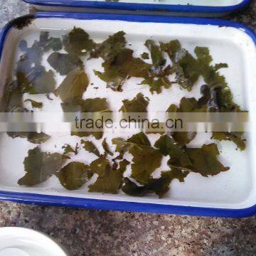 Health Tea,Slimming Tea Specialty and Loose Tea Style Anxi Tieguanyin Tea photo-3