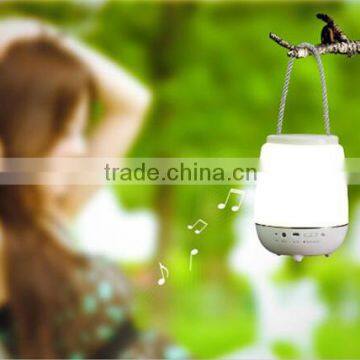 Indoor Portable LED Music Mood Light for Wedding