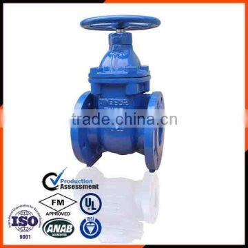 Handle Type Flanged Sewage Gate Valve photo-4