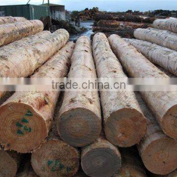 Bed Slats LVL Pine or Birch Wood Logs photo-3
